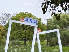 -小六农家乐(崇明西沙湿地店)