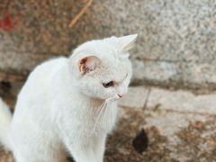 -山城巷传统风貌区