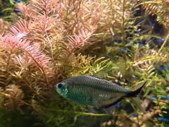 -上海海洋水族馆