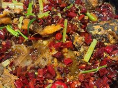 -老板恋上鱼(恒隆广场店)