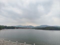 -佛手湖郊野公园