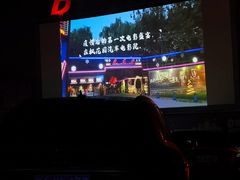-枫花园汽车电影院(朝阳公园店)