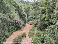 -野象谷景区