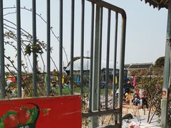 -小鱼草莓采摘园农家乐·小鱼餐厅