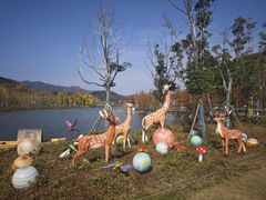 -千年银杏谷文化旅游区