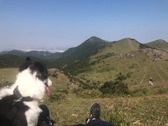 -大姆山草场