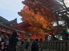 景点-有栖山 清光院 清水寺