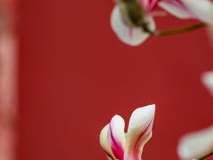 -东华门大街小区