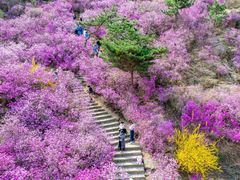 -青岛大珠山景区
