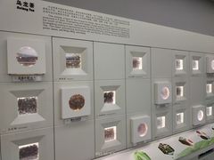 -中国茶叶博物馆(双峰馆区)