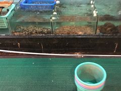 水产区-金辉海鲜餐厅