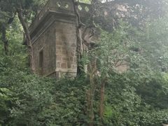 -紫金山天文台