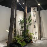 氛围感酒咖～