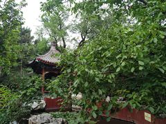 -宣武艺园