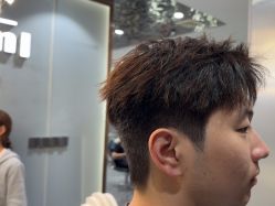 -Tloml salon