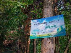 -缙云山景区