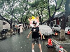 -北京国子监胡同
