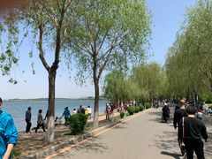 -丁香湖公园