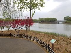 -大兴滨河森林公园