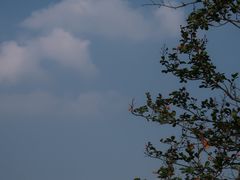 -良渚古城遗址公园