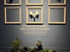 -重庆欢乐海底世界