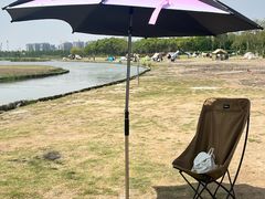 -春花秋色城市公园