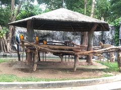 -清迈夜间动物园