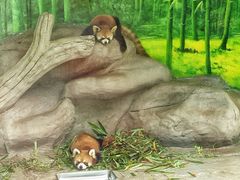 -灵玲国际马戏城
