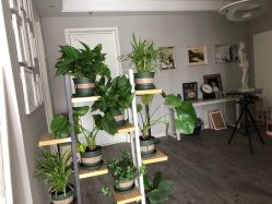 -一个差评成就的纹眉店