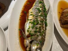 -金美华轩(东方路齐鲁店)