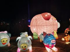 -飞凤山奥体公园