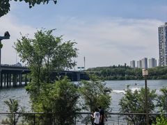 -长白岛森林公园