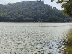 -西樵山风景名胜区-天湖公园