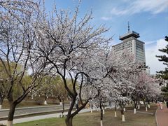 -长春市南湖公园