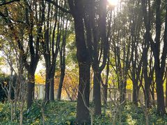 -上海交通大学医学院附属仁济医院(南院)