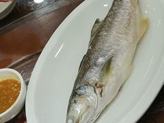 -长平肥姐白粥·海鲜打冷