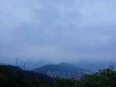 -金鸡山公园