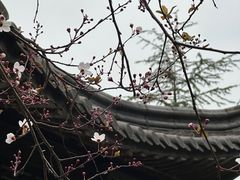 -重庆园博园