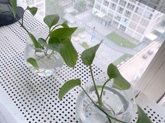 -猫头鹰照相馆(国贸店)