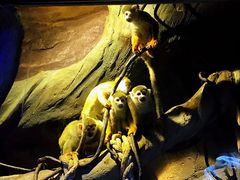 -波塞冬旅游度假区