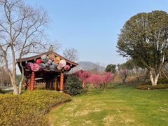 -牛首山文化旅游区