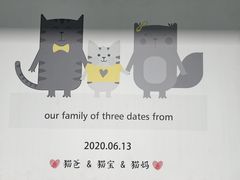 -半岛宠物医院24小时(科华中路店)