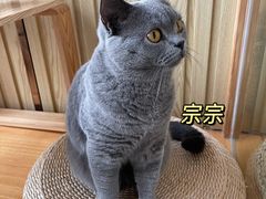 -Catmate·猫肥家润(金润铂宫店)