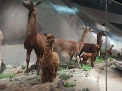 -武汉园博园(武汉自然博物馆)