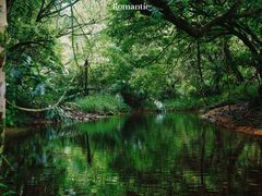 -海南热带雨林国家公园吊罗山景区