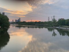 -九里河湿地公园