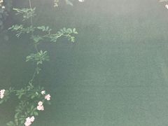 -麦当劳(南京宁海路店)