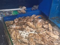 -潮庭·大连海鲜·炭火烧烤·扇贝王(大连店)