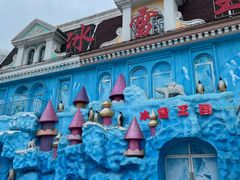 -芜湖新华联大白鲸海洋公园