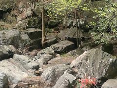 -石台牯牛降景区
